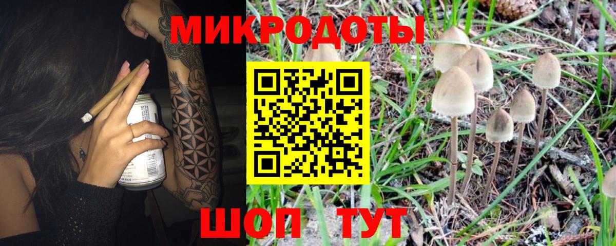 Псилоцибиновые грибы прущие грибы Дедовск